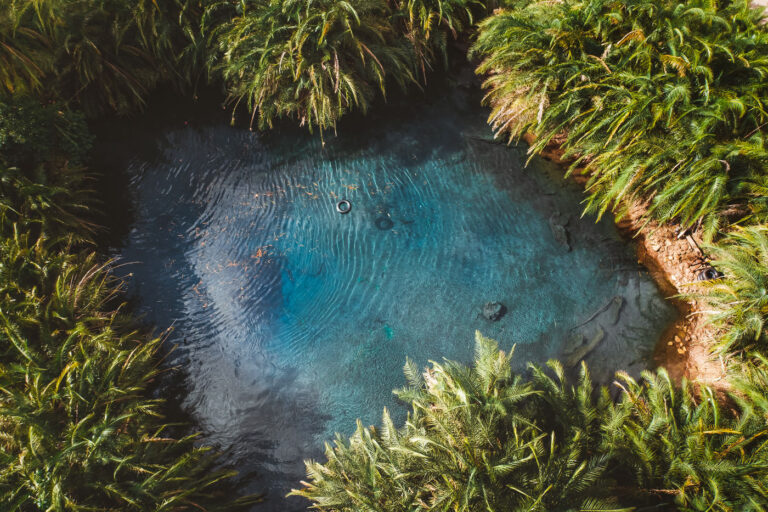 kikuletwa-hot-springs-chemka-tanzania-0430